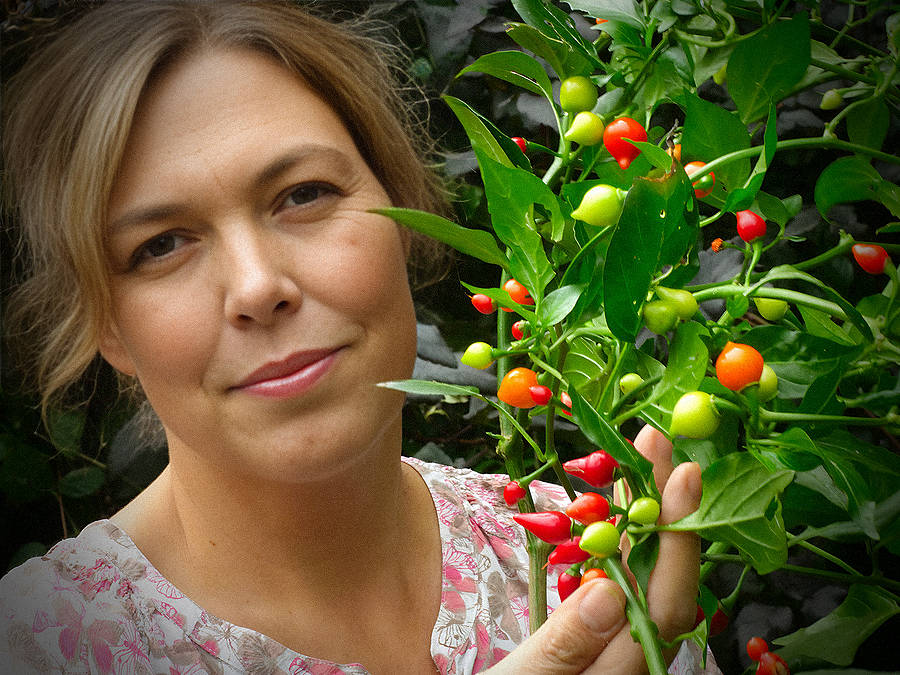 World of Chillies Biquinho chilli with grower