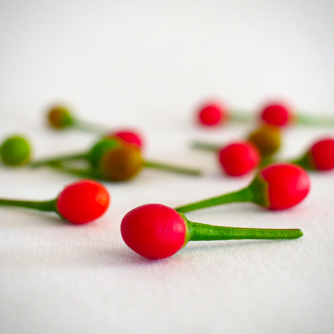 chiltepin chili pods on white