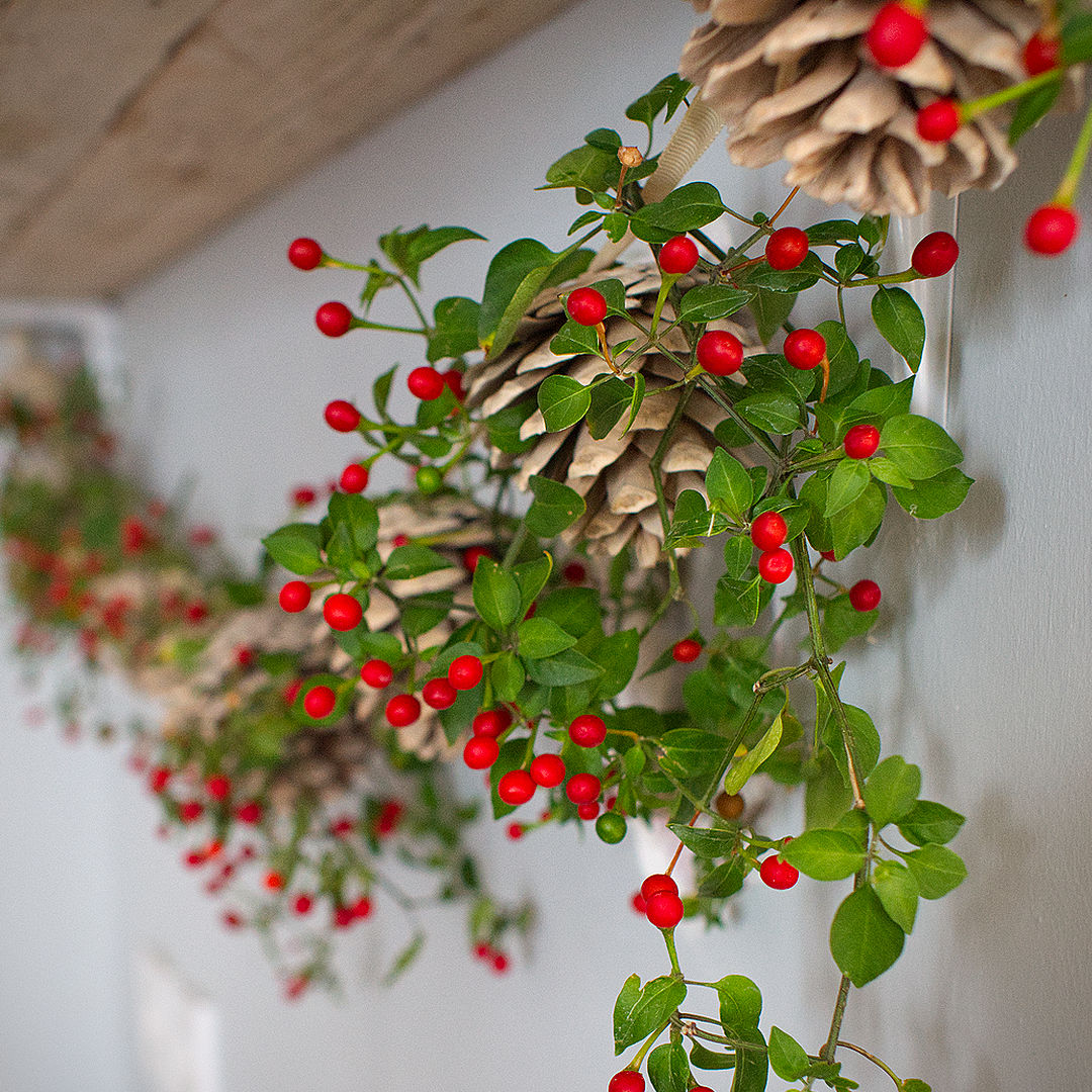 chiltepin chili pods