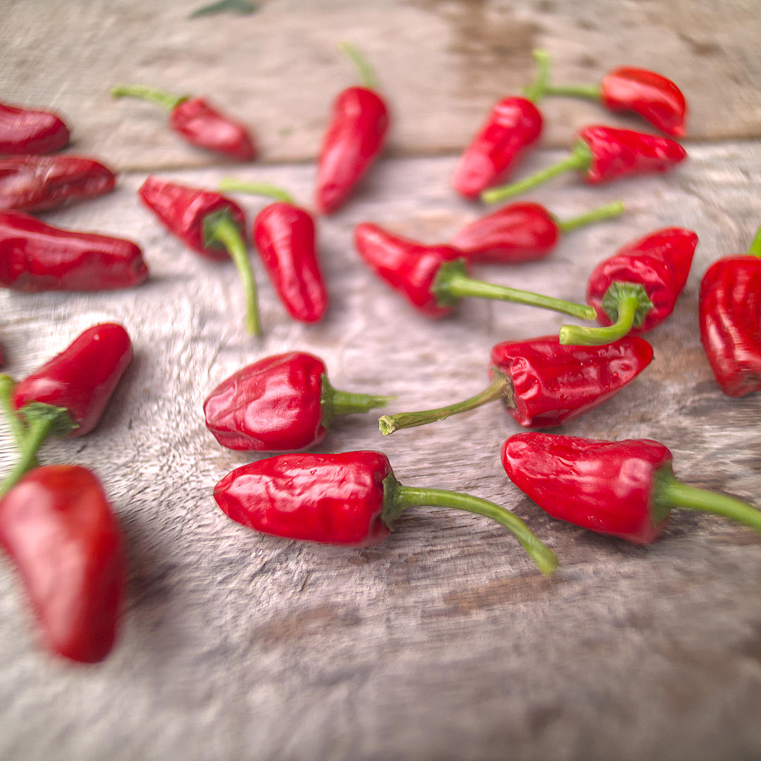 World of Chillies Chinese Facing Heaven chilli pods prepared