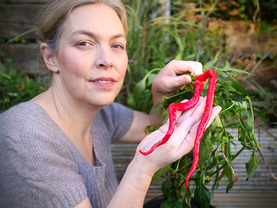 Chinese Space Chilli