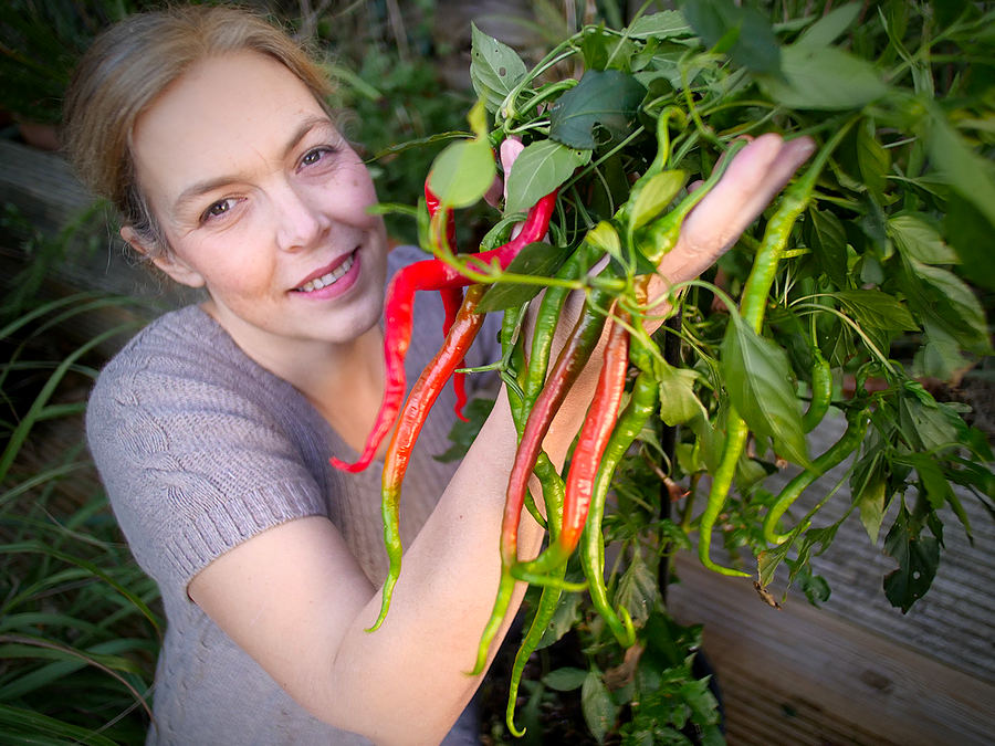 Chinese Space Chilli