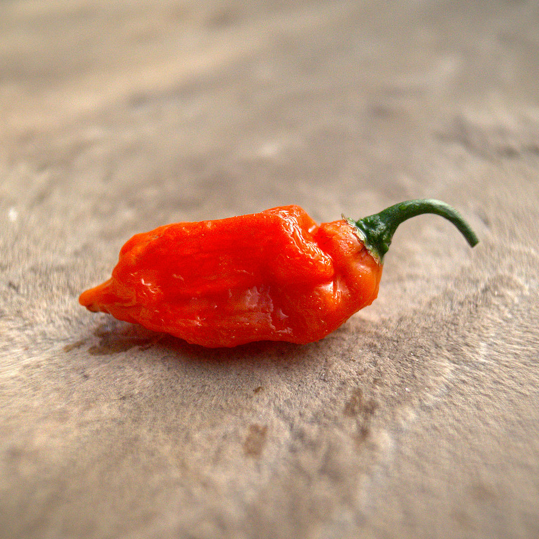 quickfire chilli