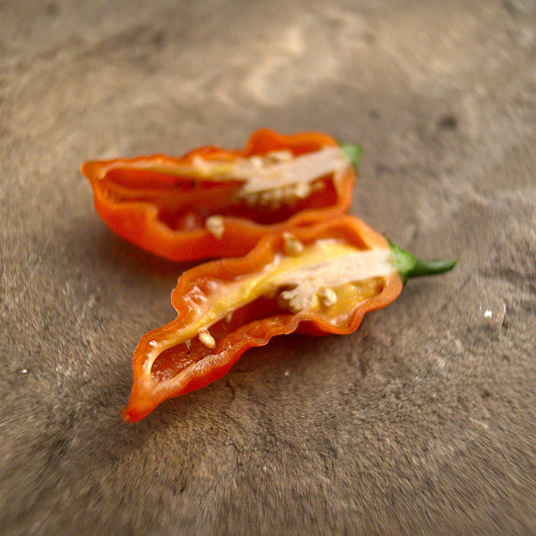 quickfire chilli