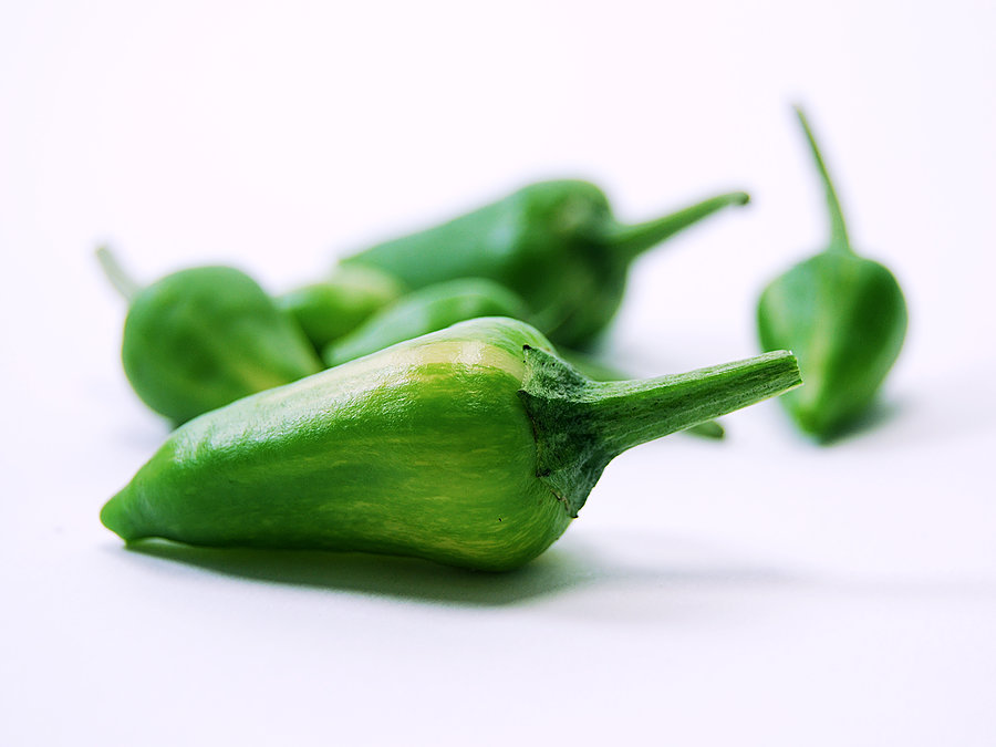 Fish Pepper pods