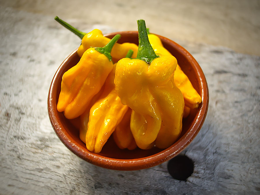 Pepperoncini pods