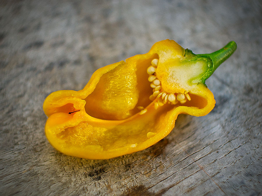 Pepperoncini pods