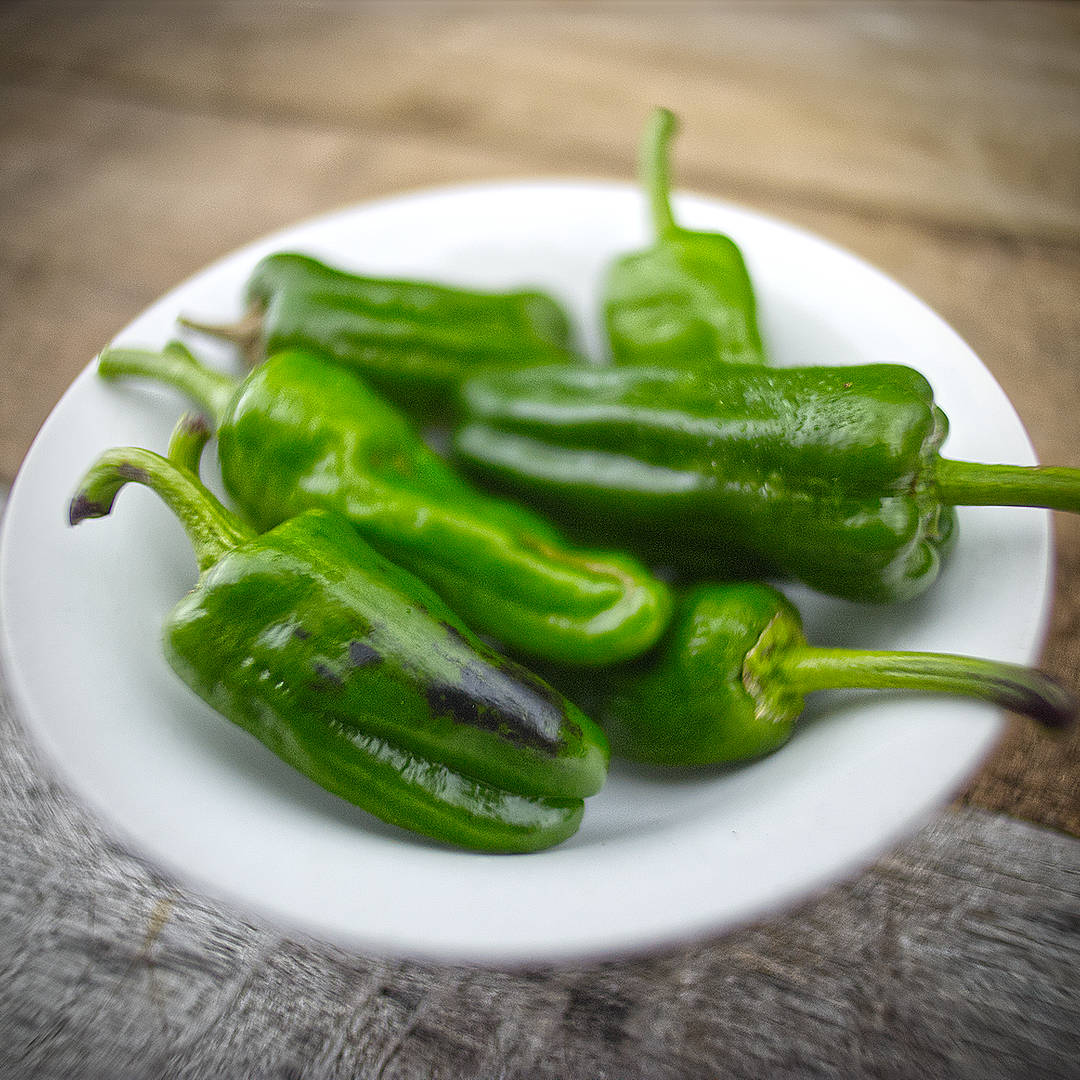 Pimiento de Padron Chillies bowl