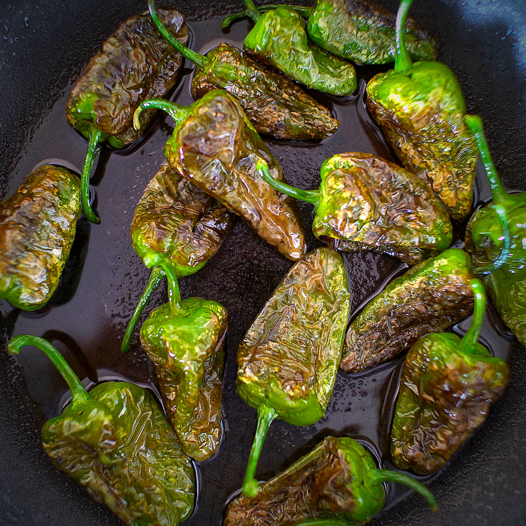 Pimiento de Padron Chilli grilled