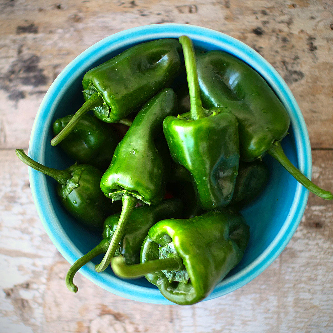 Poblano