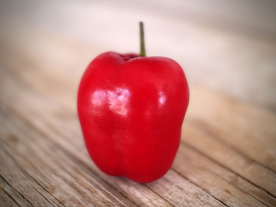 rocoto chilli