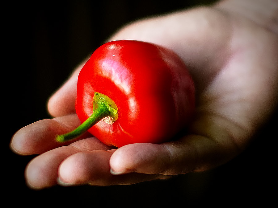 rocoto chilli