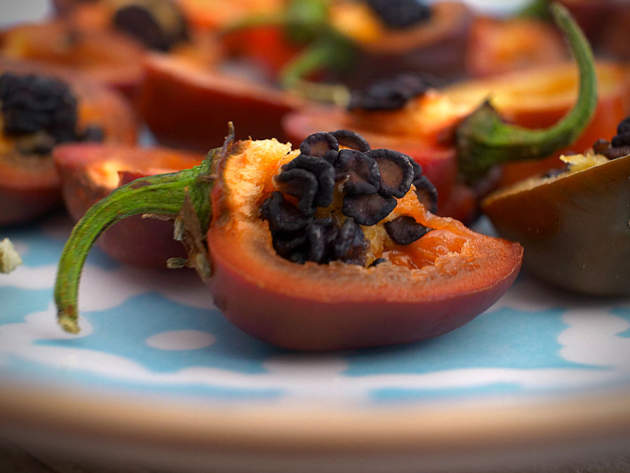 rocoto chilli