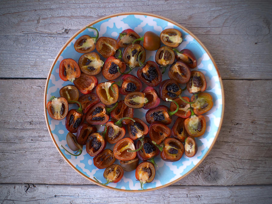 rocoto chilli
