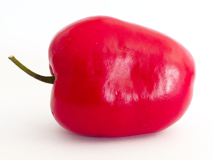 rocoto chilli