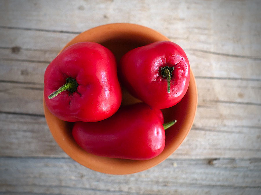 rocoto chilli