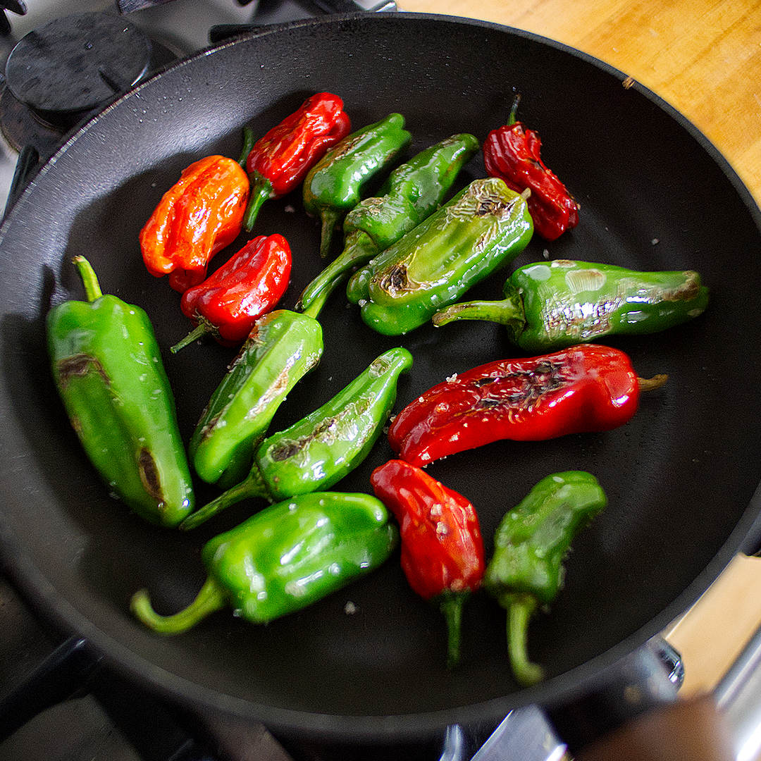 World of Chillies Shishito chilli grilled in pan