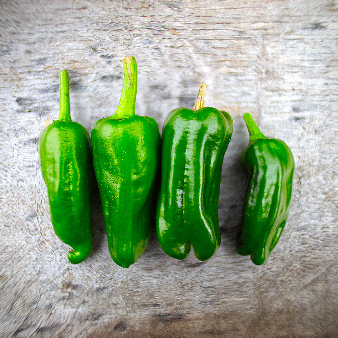 World of Chillies Shishito chilli pods laid out on board