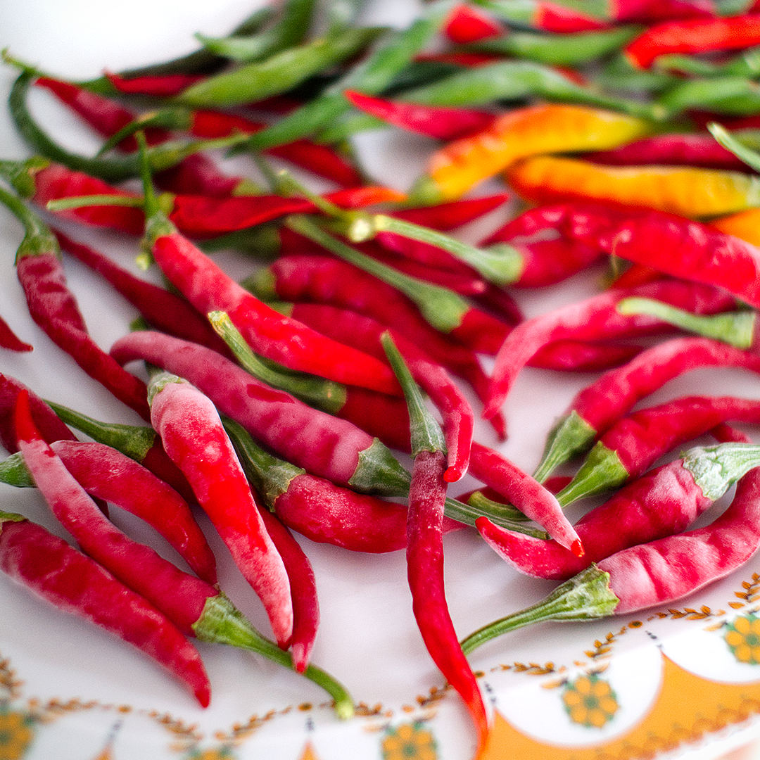 Thai dragon chilli