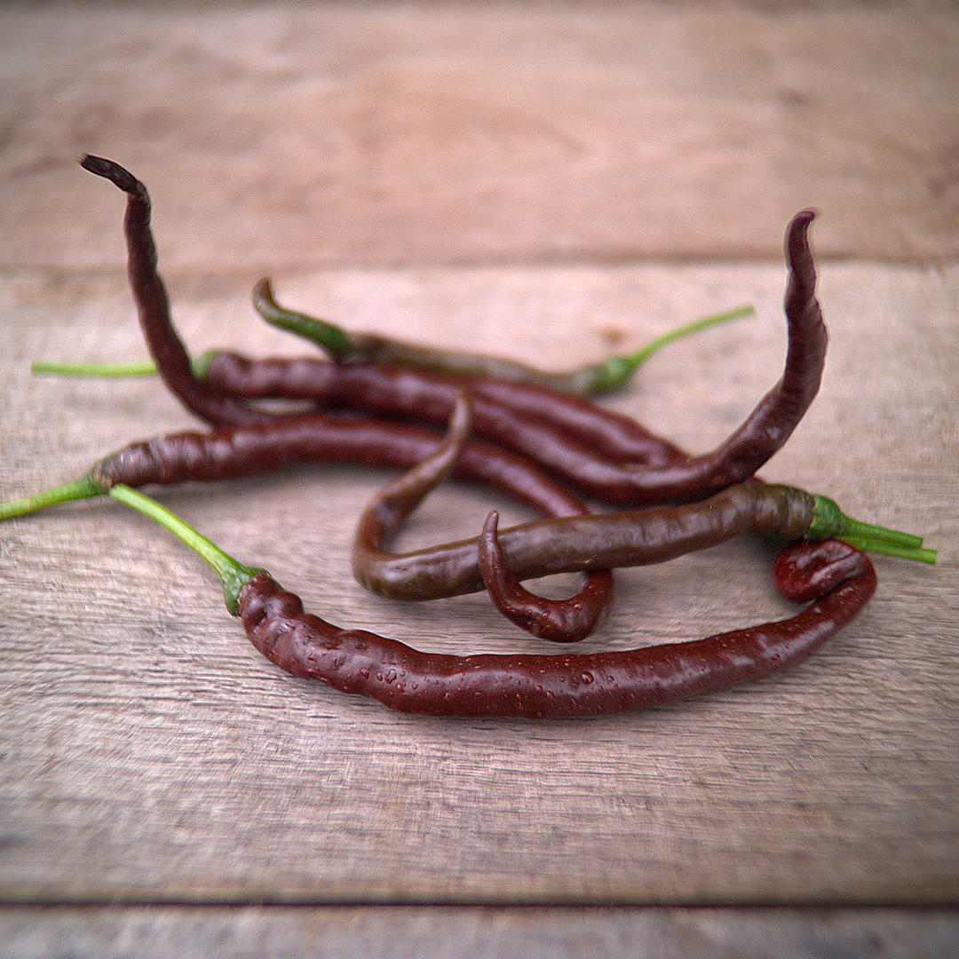 Thunder Cacho chillies with long curved pods on table.