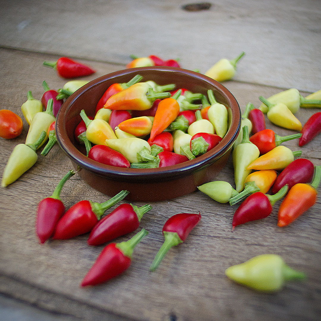 World of Chillies Turkish Pickling chillies red and green on a board