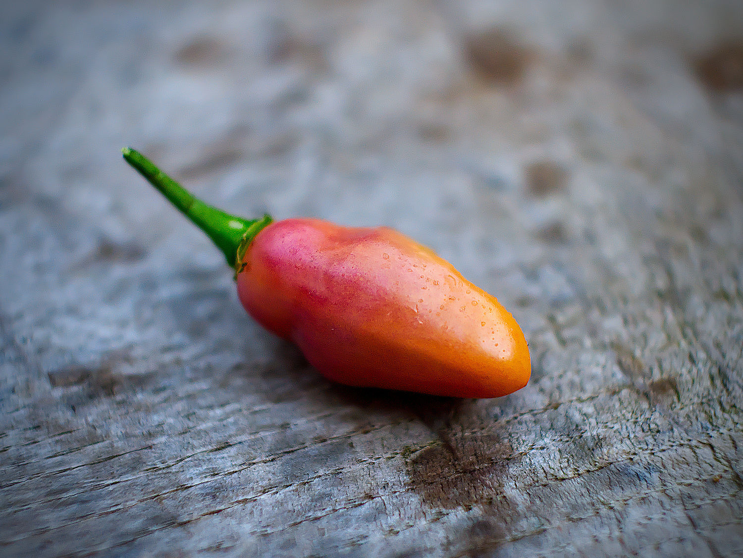  Pink chillies are rare, which makes these Brazilian beauties stand out even more in a world of fiery reds and greens. 