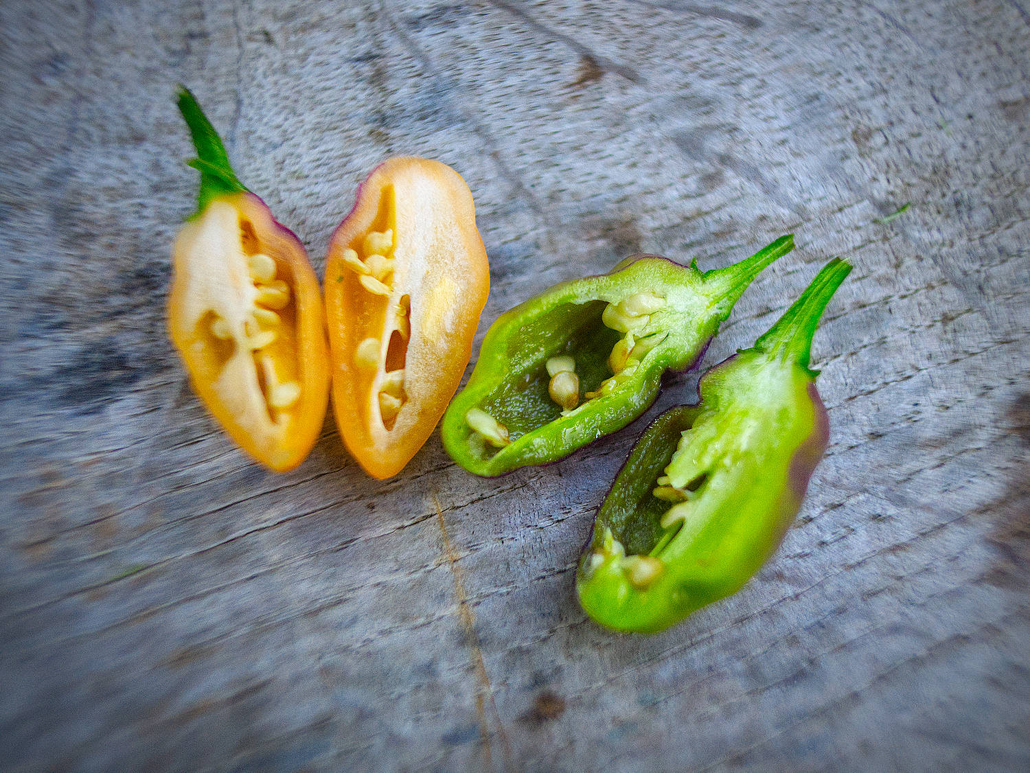  As these crisp, juicy pods ripen, their contrasting shades of deep purple and green gently shift to soft, rosy tones. 
