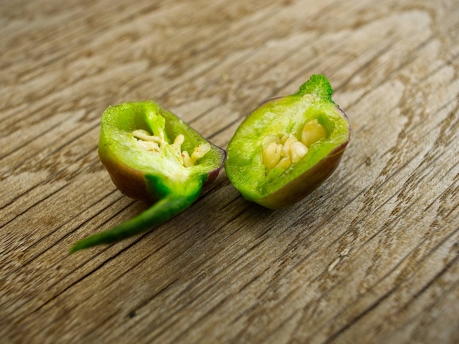  With deep purple skin and a vibrant lime green interior, these pods are truly gorgeous inside and out. 