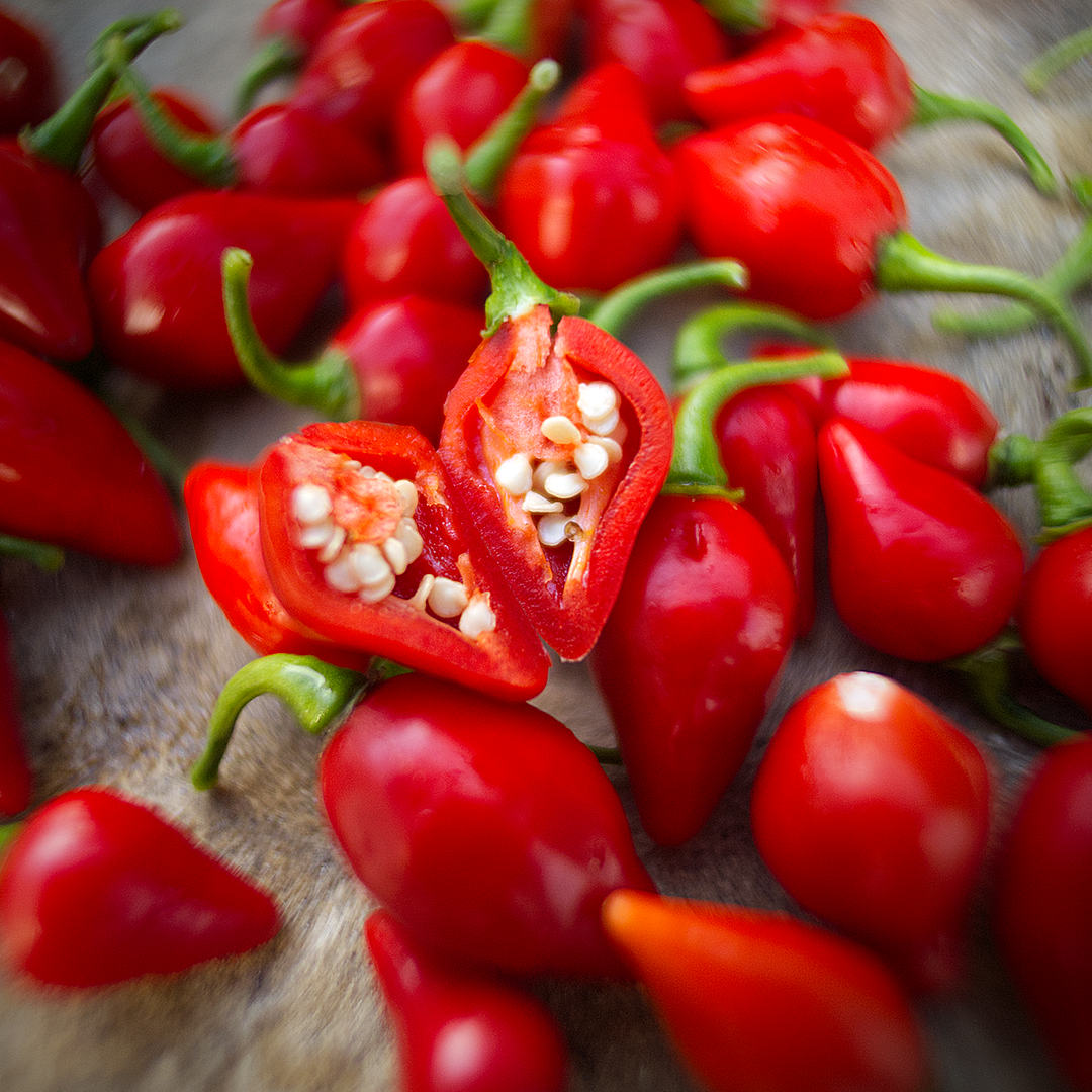  World of Chillies: Freshly harvested red Raging Bull chillies, with several cut open to show their flesh and seeds. 