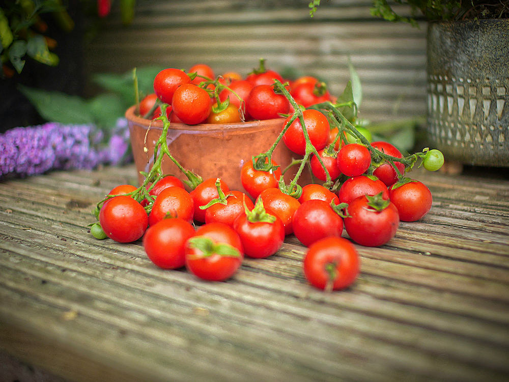 Tomatoes on board