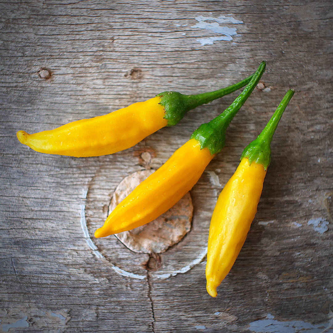 Lemon Aji Chilli