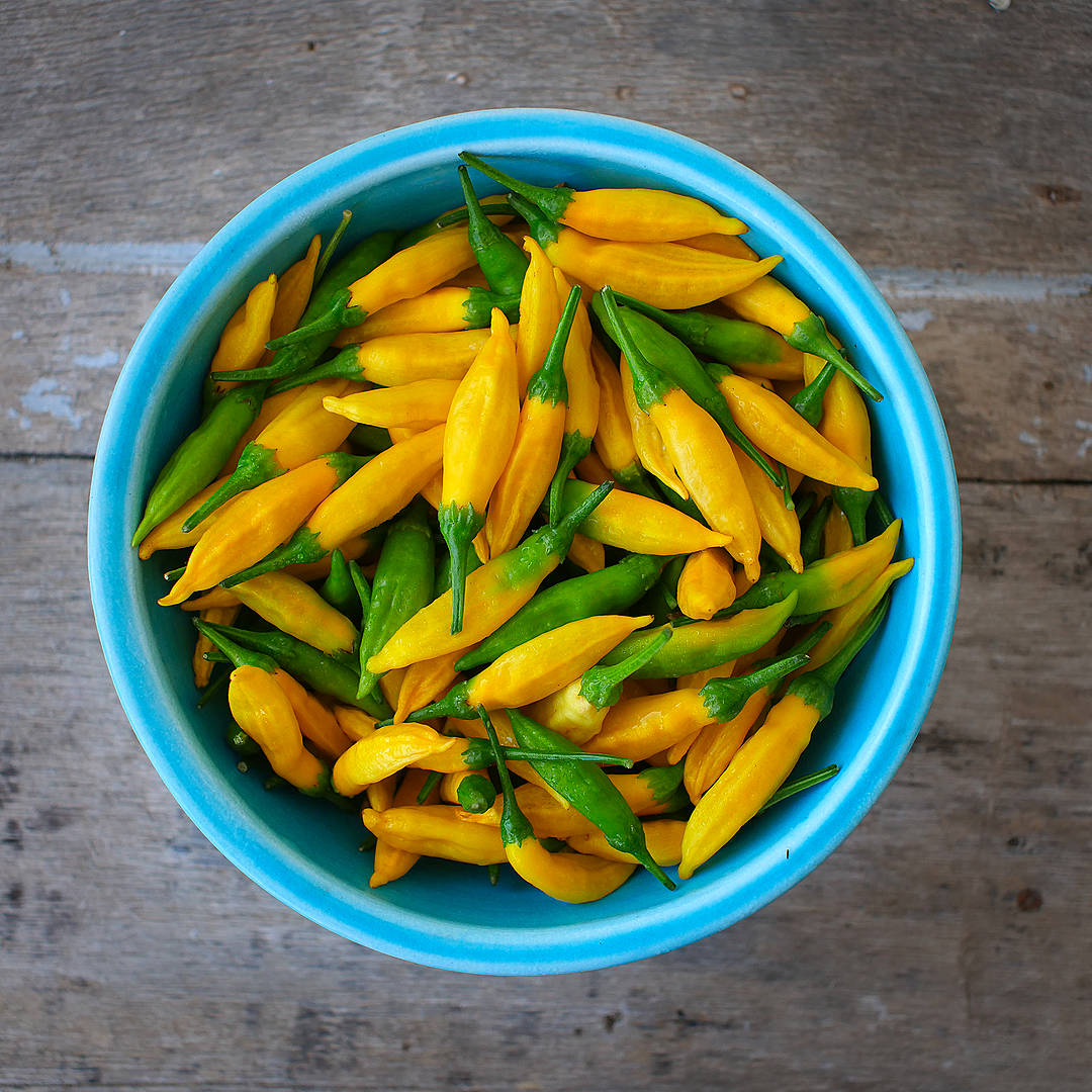 Lemon Aji Chilli