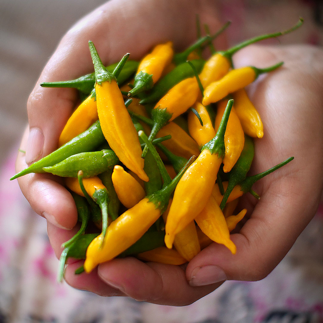 Lemon Aji Chilli