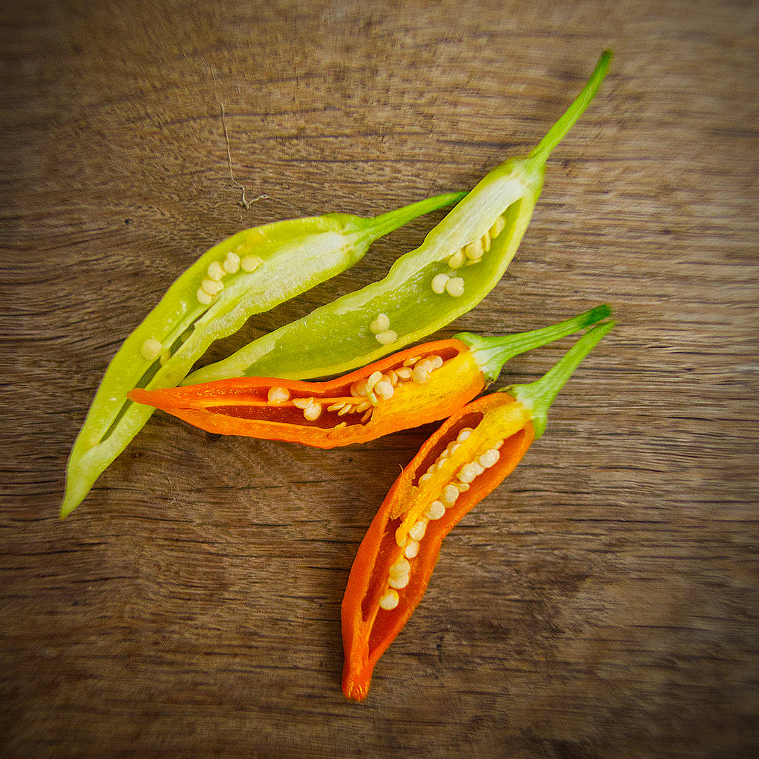 Havana Gold Chilli