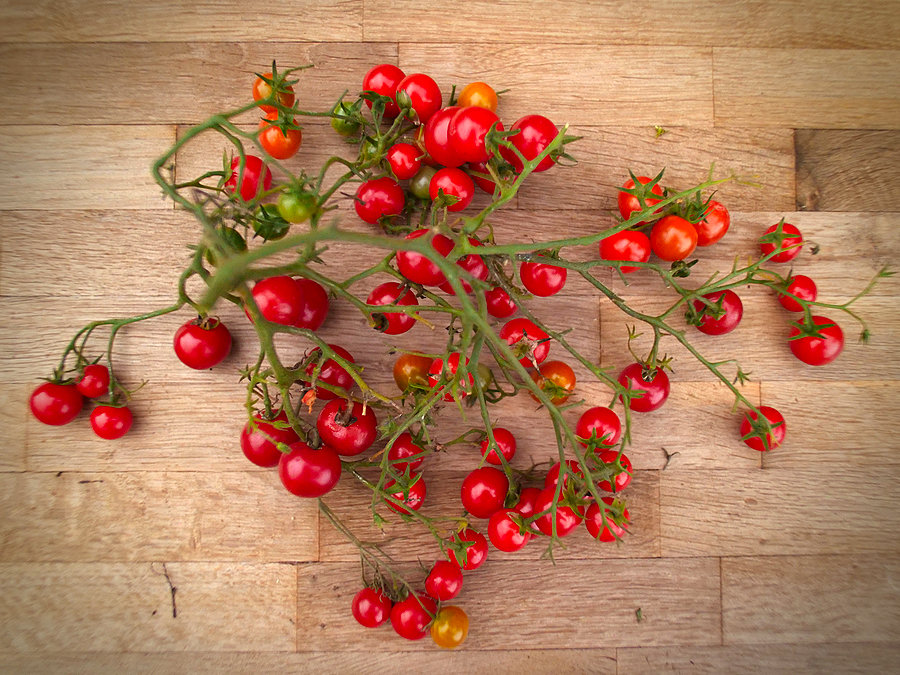 suncherry tomato