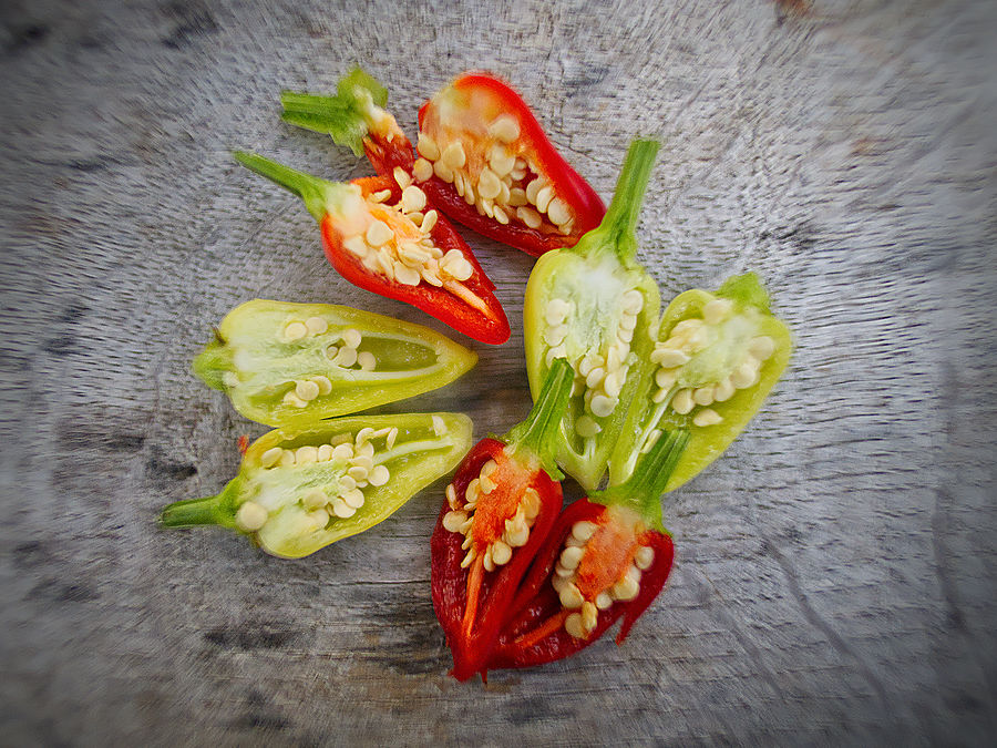 Turkish Pickling chilli pods