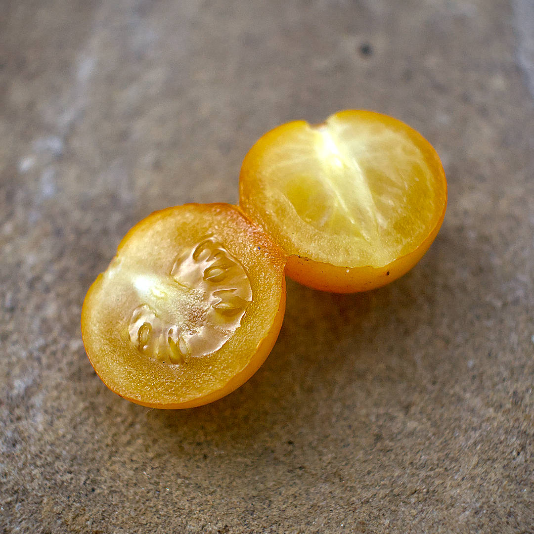 Yellow cherries have lower acidity, so the locule gel stays pale — the almost translucent centre here is exactly what you want to see. 