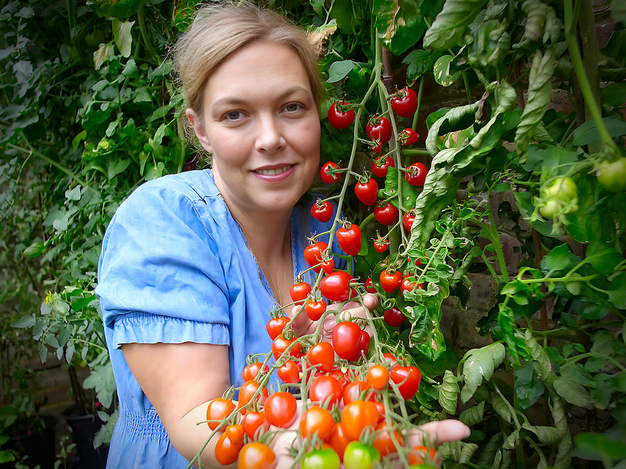 big tomatoberry truss