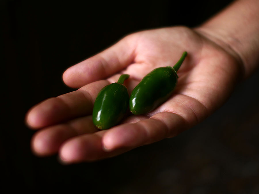 Jalapeño pods