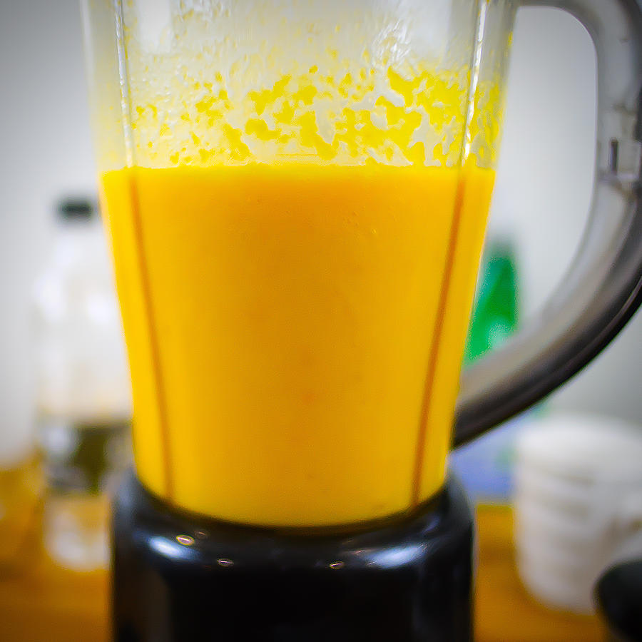 Belize style sauce recipe processor