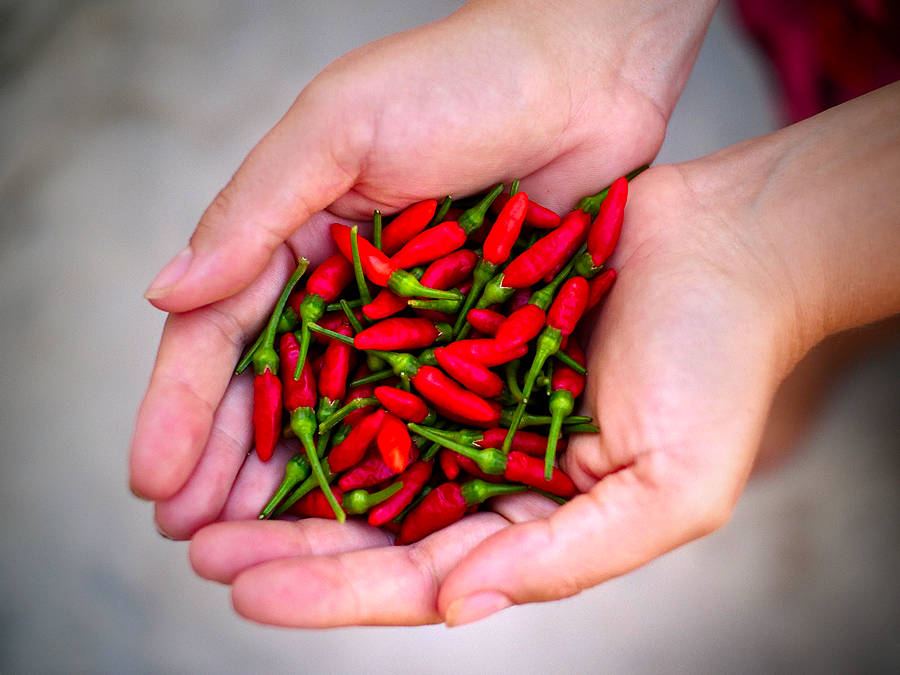 Thai Demon chilli