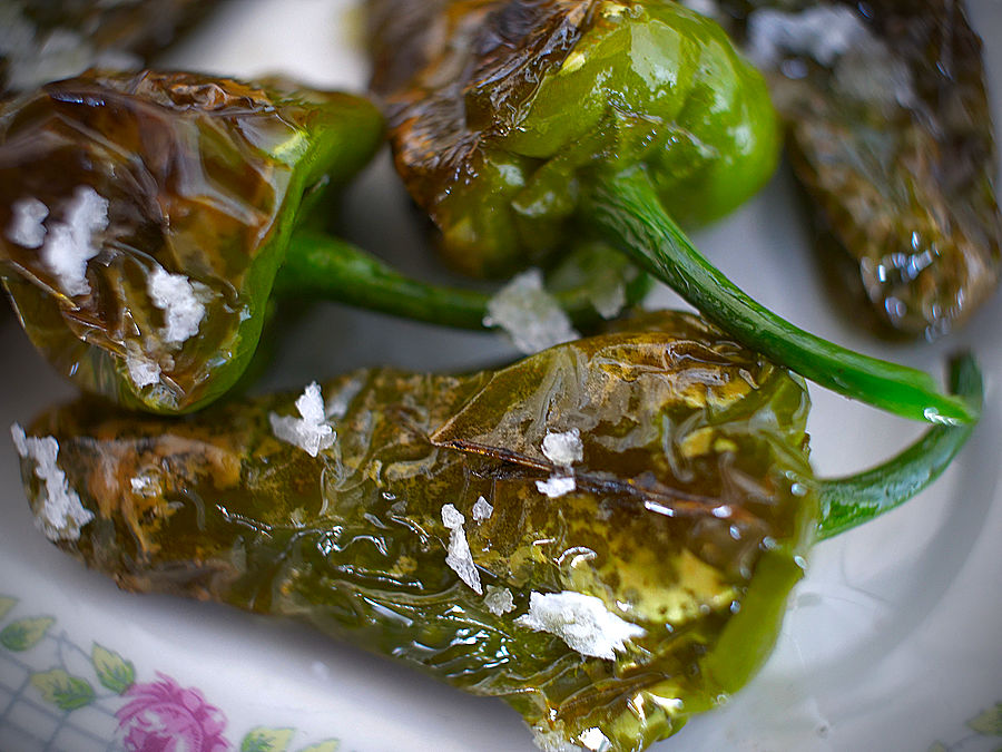 tapas of pimento de padron