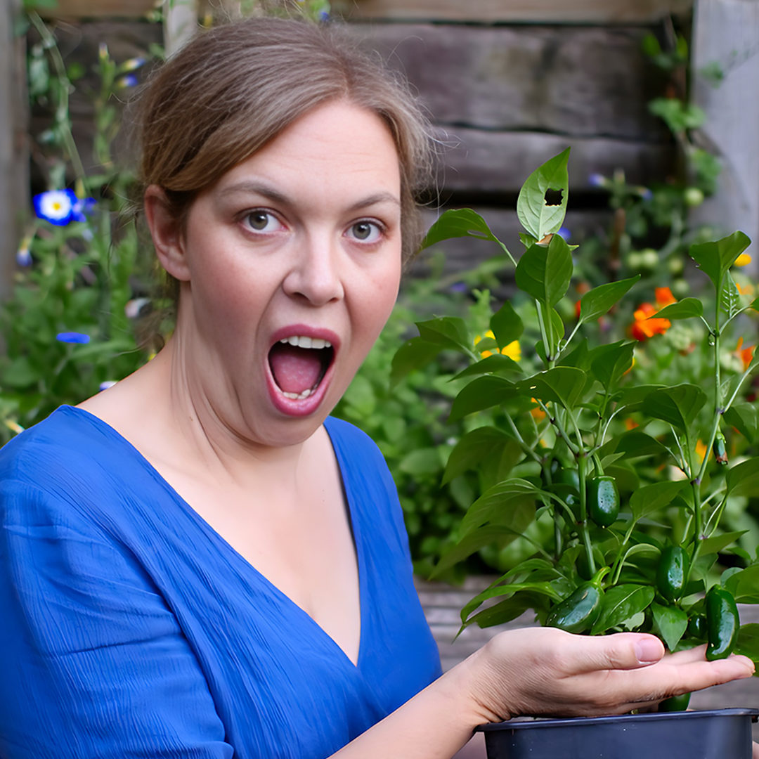 world of chillies suprised chilli grower