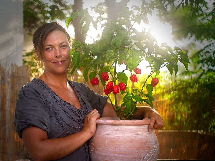 Stacks Image 1470