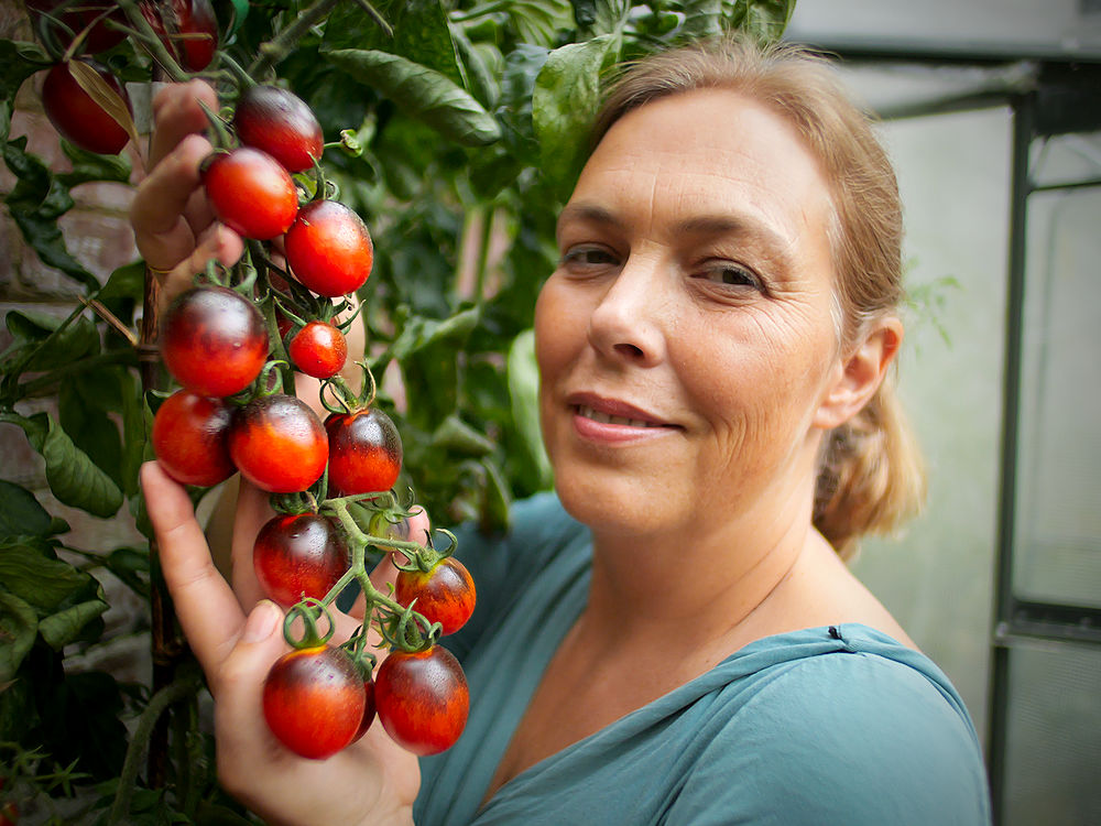 Black Moon Tomato