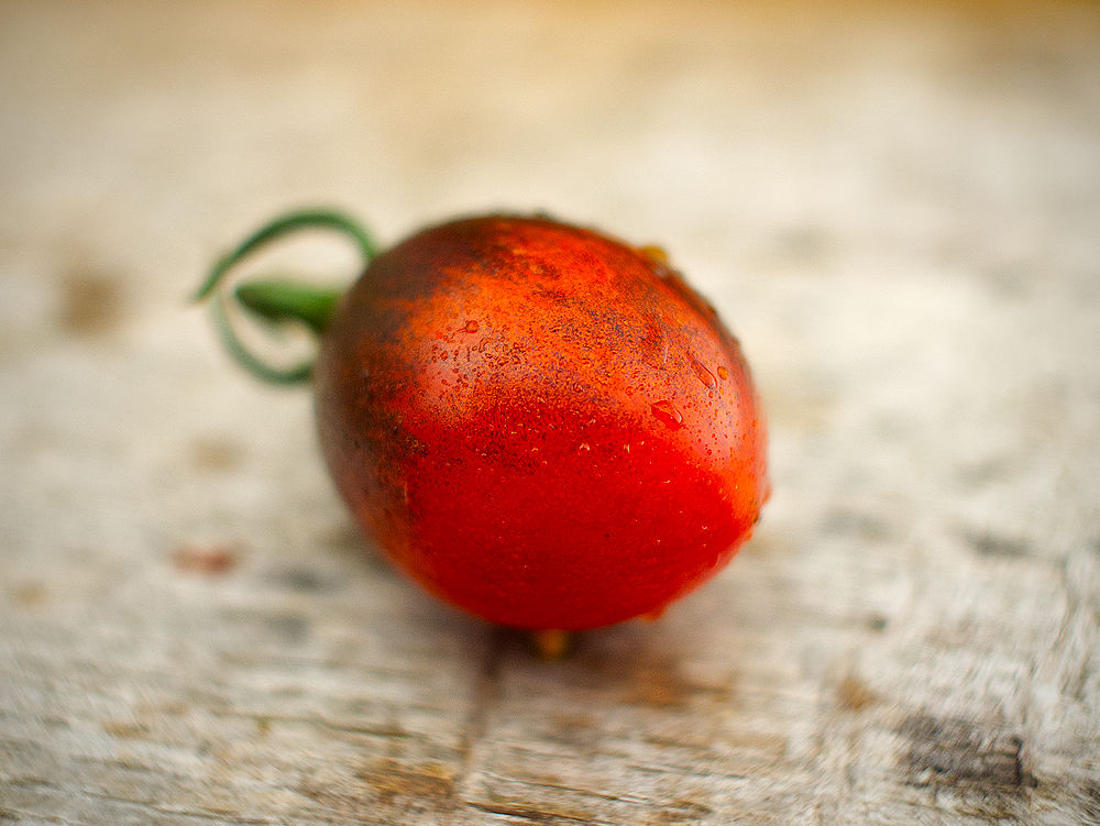 Beautiful Black Moon Tomato 