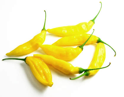  Aji Lemondrop Chillies 