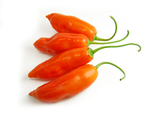  Aji Amarillo Chillies 