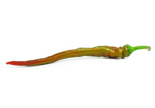  Bangalore Torpedo Pod 