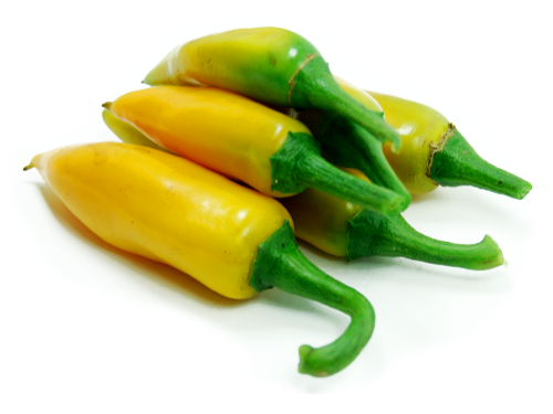  Bulgarian Carrot Chilli Pods 